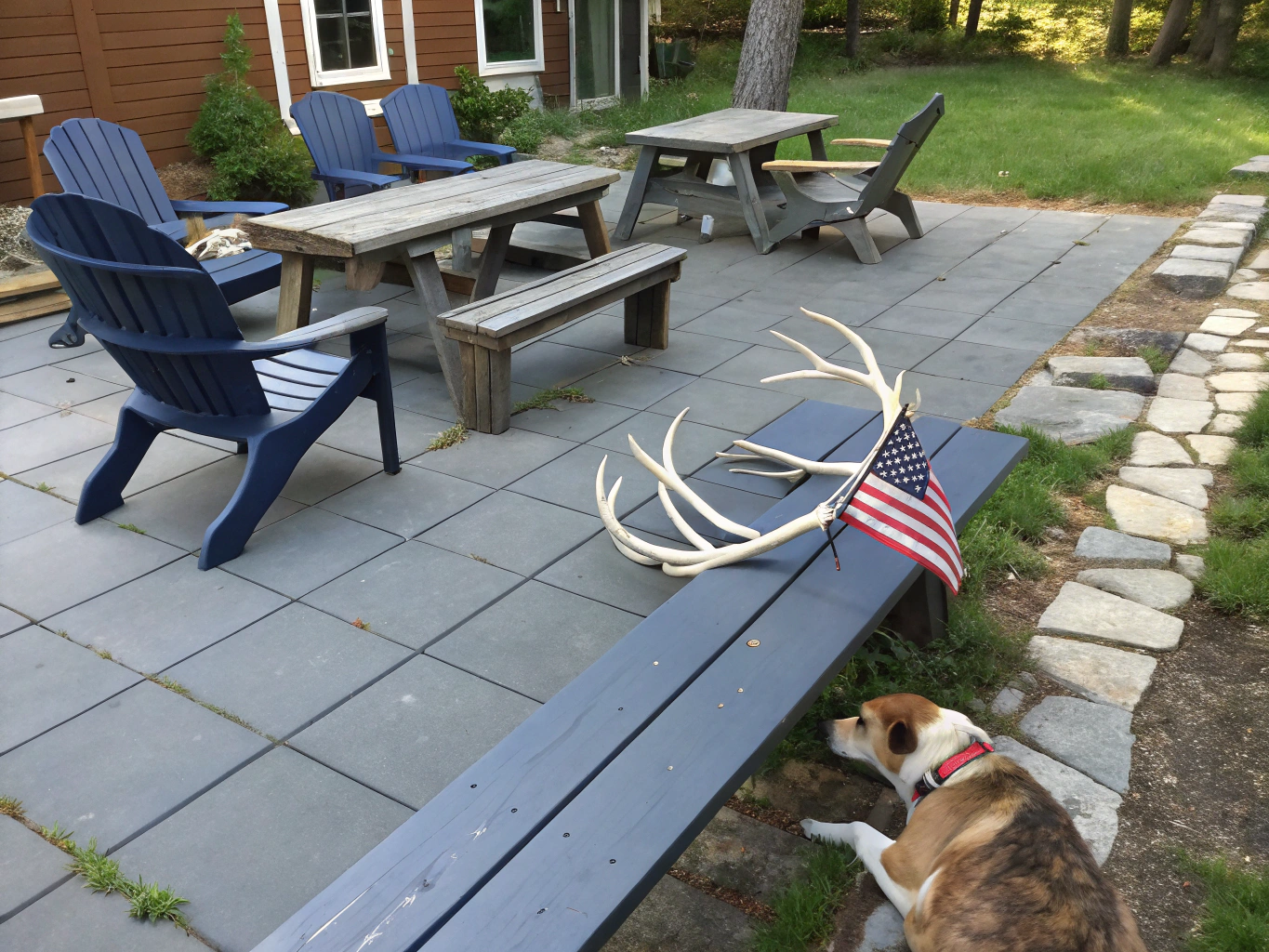 How Long Do Elk Antlers Last as Dog Chews? Tips for Longevity